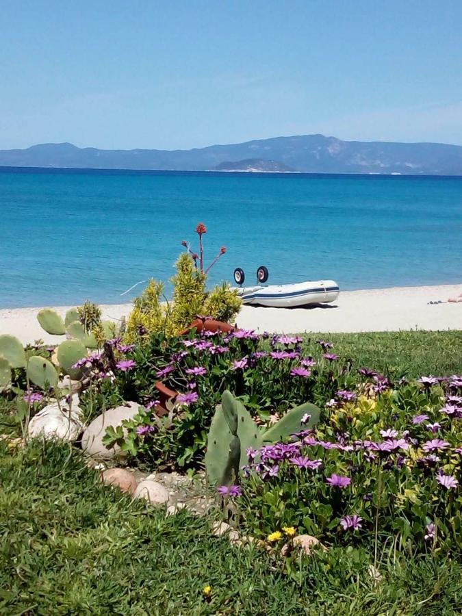 Cozy maisonette in Pefkochori Chalkidiki Zewnętrze zdjęcie