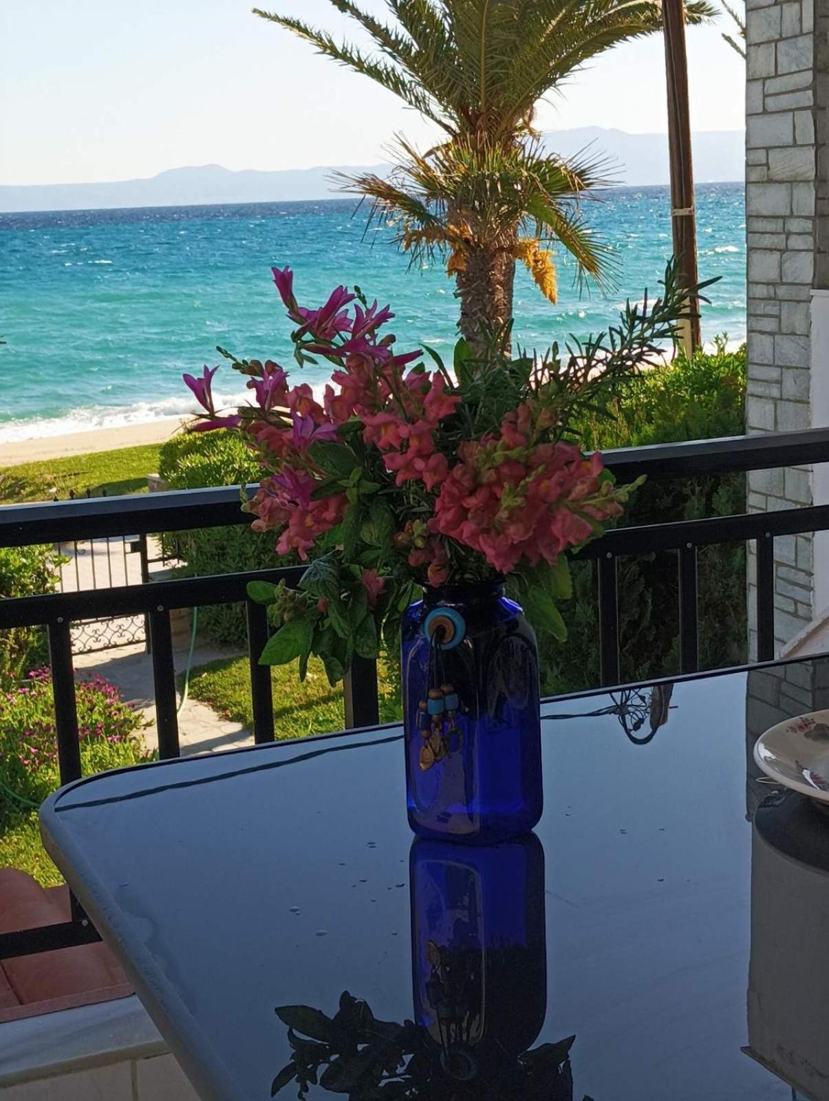 Cozy maisonette in Pefkochori Chalkidiki Zewnętrze zdjęcie